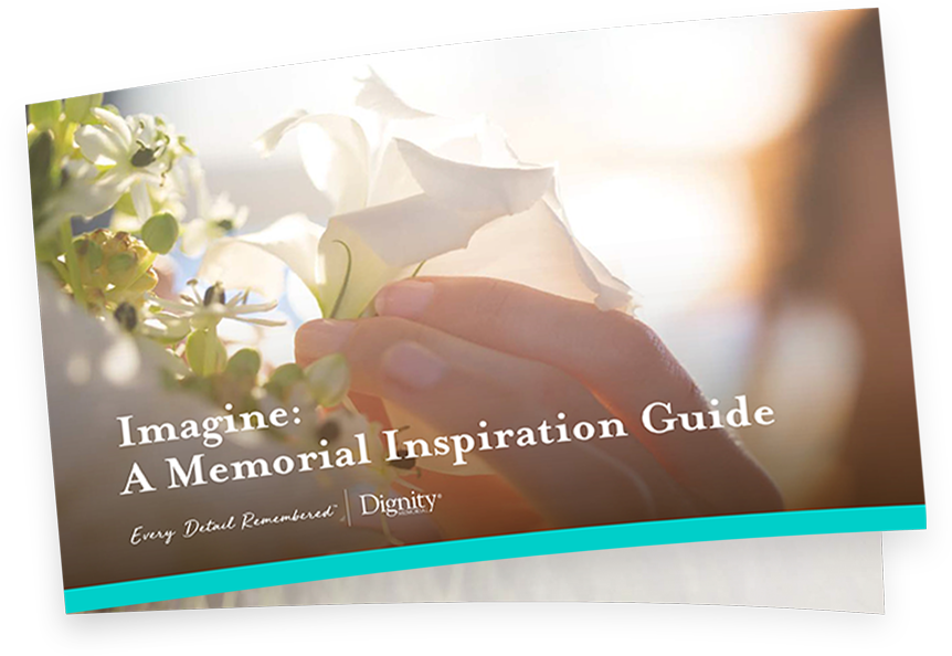 Imagine guide