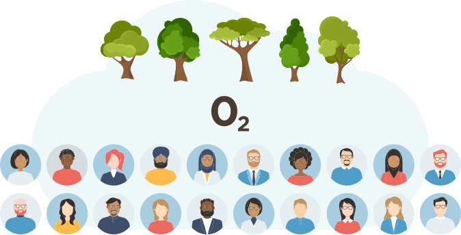 five tree infographic